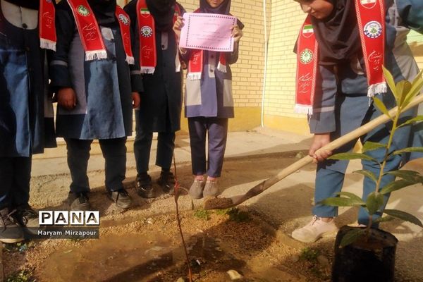 کاشت نهال در مدارس فورگ