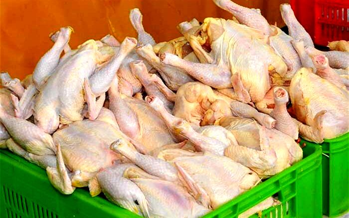 قیمت مرغ به کجا رسید؟