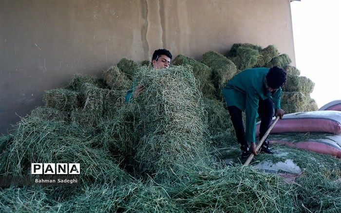 در مسیر جوان‌سازی کشاورزی ایران، هنرستان‌های کشاورزی حرف اول را می‌زنند