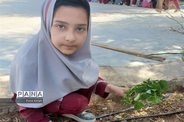 مدرسه با طراوت با طرح هر دانش‌آموز یک نهال