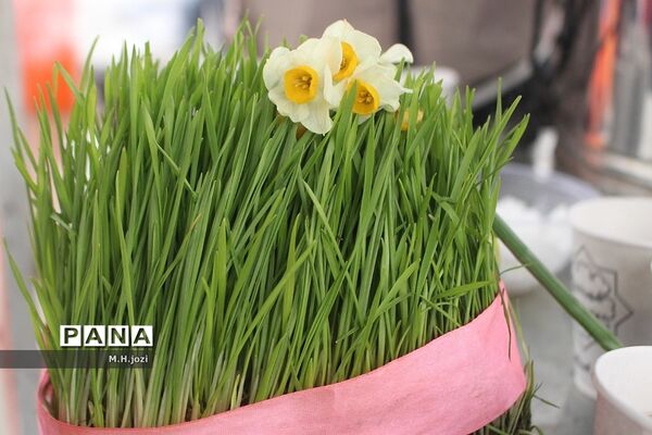 جشن نیمه شعبان در مسجد جمکران