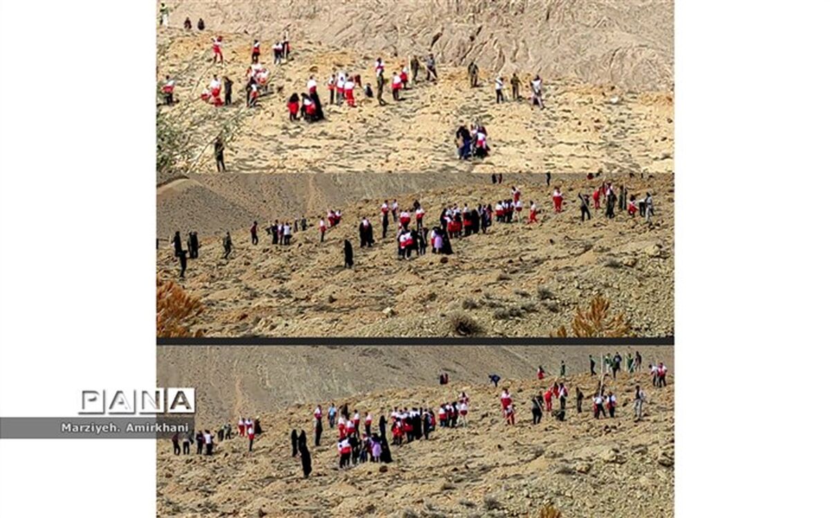 درختان، مهم‌ترین پیش نیاز حفاظت از خاک هستند