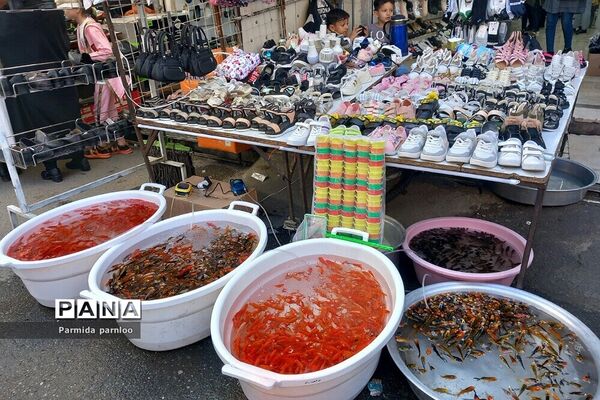 آمادگی و اشتیاق شهروندان بهارستان 2 در آستانه سال نو