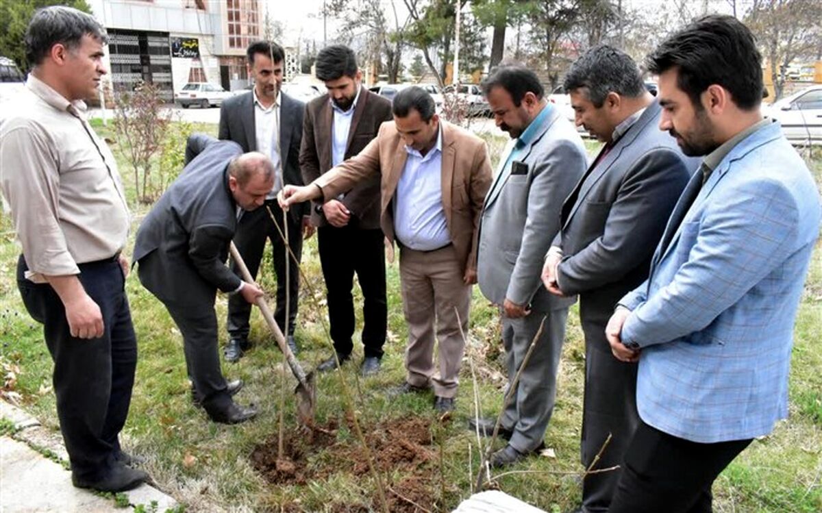 کاشت نهال در محوطه اداره کل آموزش و پرورش کهگیلویه و بویراحمد به مناسبت هفته منابع طبیعی