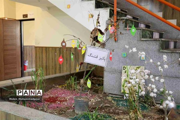 بازدید از پروژه‌های مدارس سبز در تبریز