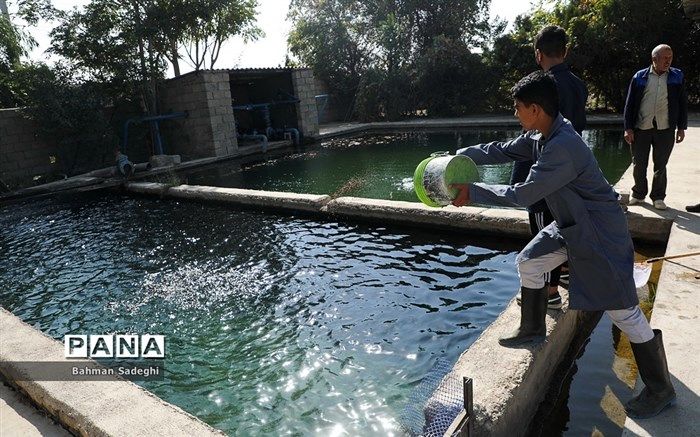توسعه رشته‌های مرتبط با شیلات در هنرستان‌ها سرمایه‌گذاری است