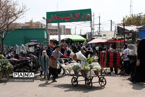 بازار بهاری گل و گیاه در آستانه نوروز