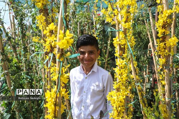 بازار بهاری گل و گیاه در آستانه نوروز