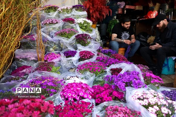 بازار بهاری گل و گیاه در آستانه نوروز