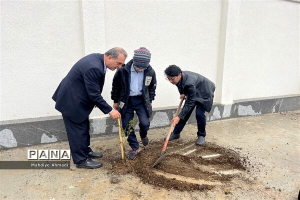 مراسم درختکاری در گلستان