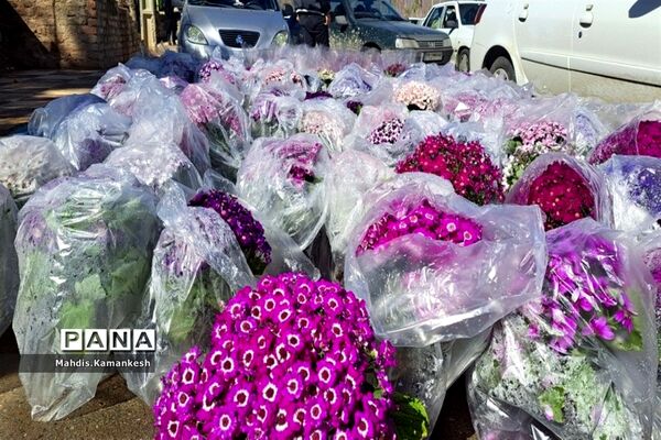 زیارت اهل قبور در پنجشنبه آخر سال در پاکدشت