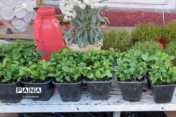 حال و هوای نوروزی در بازار شهرکرد