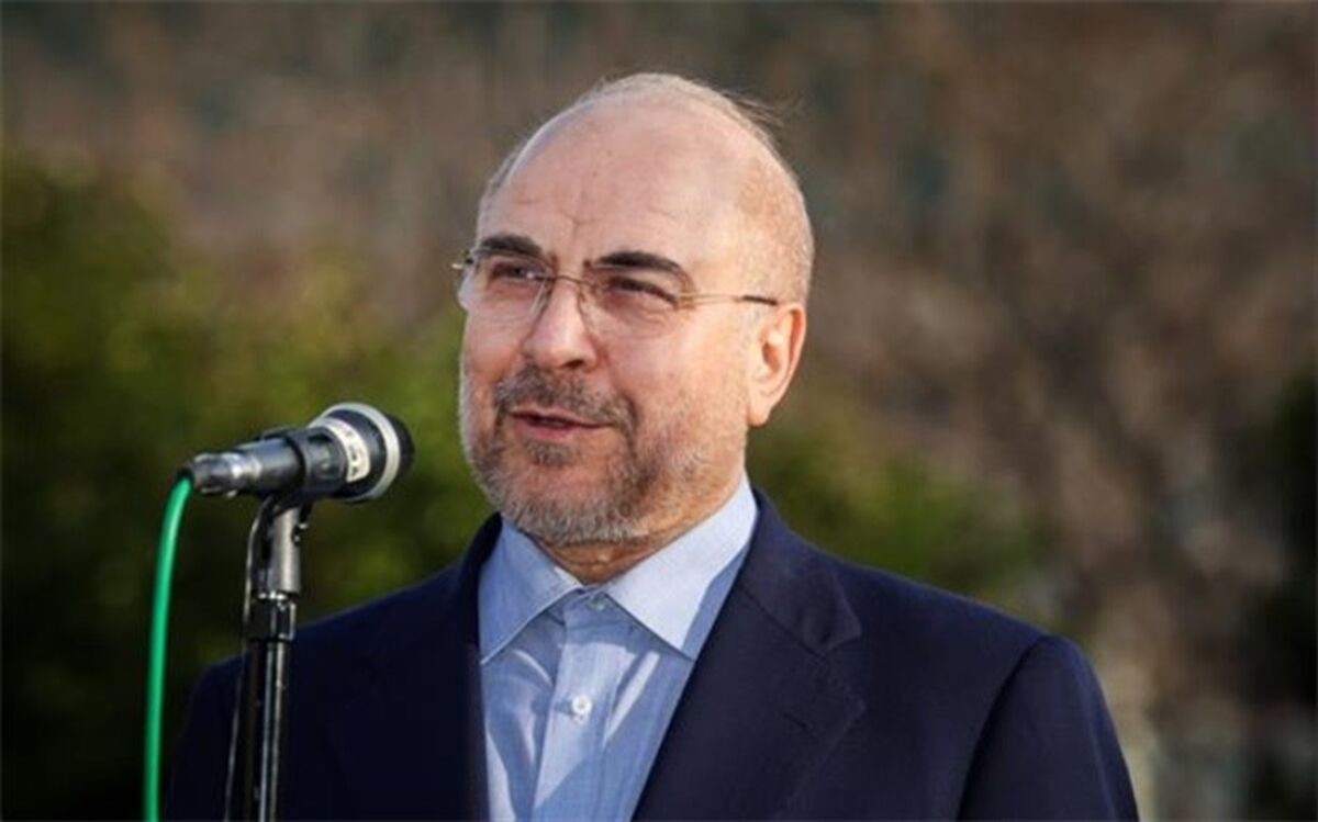 اولویت دولت و مجلس استفاده از معادن در کنار جلوگیری از خام‌فروشی است