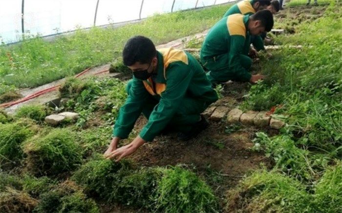 بررسی وضعیت تجهیزات هنرستان‌های کشاورزی در ایران