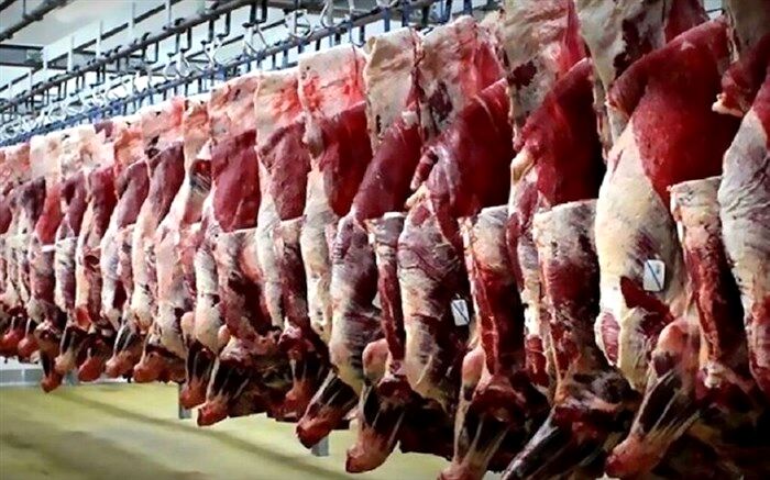 تقدیر ازافشا کننده تخلفات بهداشتی پرونده کشتار