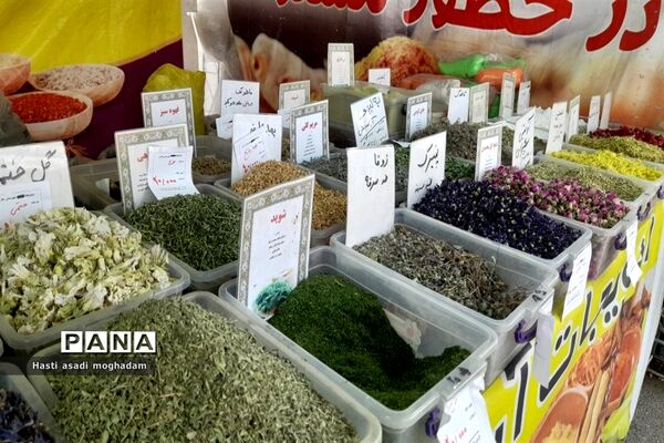 برگزاری نمایشگاه بهاره در ملارد