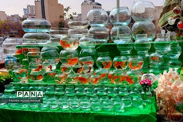 حال و هوای پایانی سال در بازار تجریش تهران
