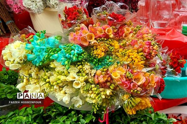 حال و هوای پایانی سال در بازار تجریش تهران