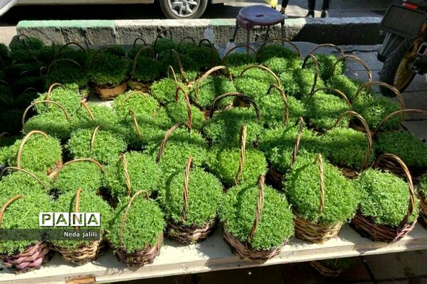 نمایشگاه بهاره شهرستان قرچک در روزهای پایانی سال