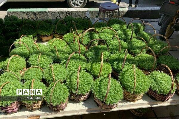 نمایشگاه بهاره شهرستان قرچک در روزهای پایانی سال