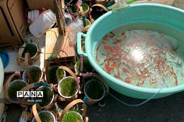 نمایشگاه بهاره شهرستان قرچک در روزهای پایانی سال