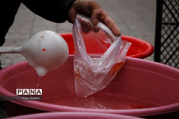 یک قدم مانده به عید در تبریز