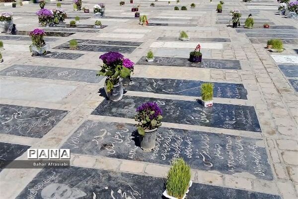 بازدید از آستان مقدس امام زاده عمادالدین در شهرستان رباط‌کریم