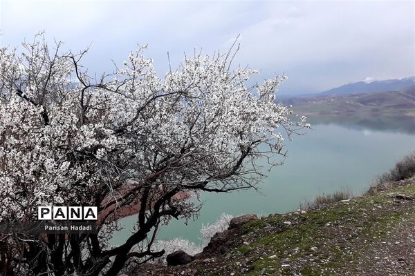 طالقان زیبا نگین سبز استان البرز