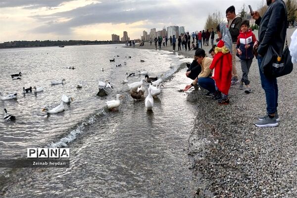 دریاچه چیتگر تهران در آغاز بهار