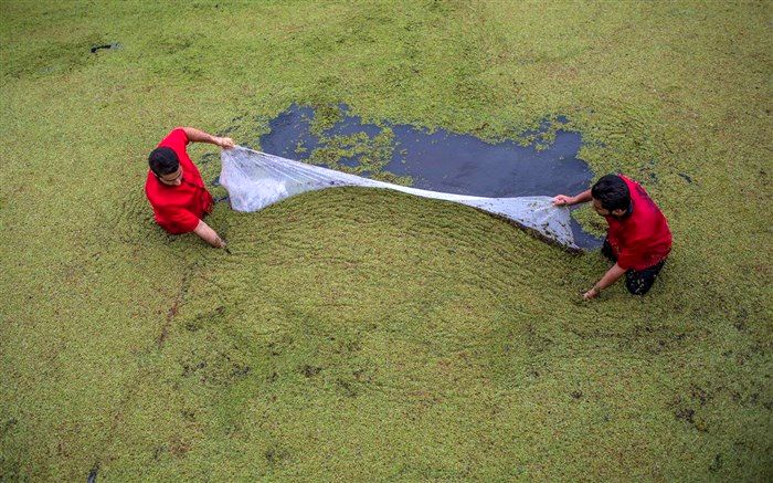 «پرورش زالو» سوژه سومین روایت «قهرمانان معمولی» شد