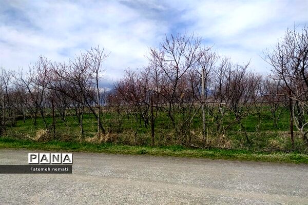 طبیعت زیبای بهاری روستای هندودر اراک