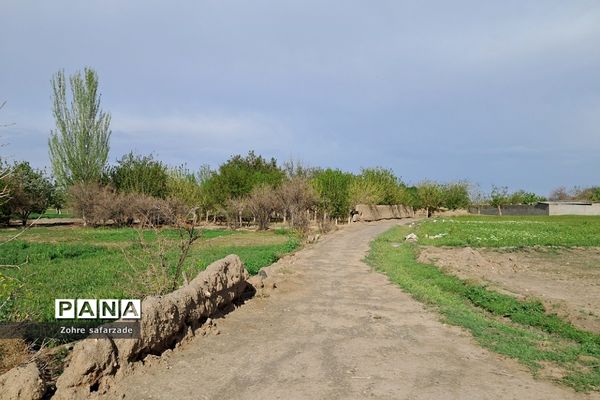 طبیعت زیبای روستای باغِ آسیا در شهرستان گناباد