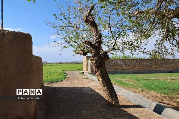 طبیعت زیبای روستای باغِ آسیا در شهرستان گناباد