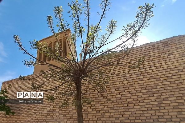 طبیعت زیبای روستای باغِ آسیا در شهرستان گناباد