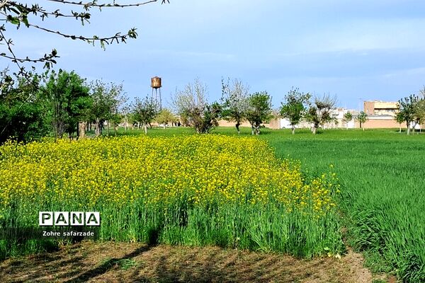 طبیعت زیبای روستای باغِ آسیا در شهرستان گناباد