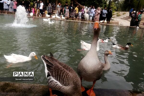 باغ گلشن در طبس، بهشتی در میان کویرهای ایران