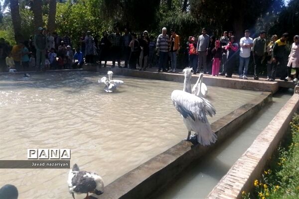 باغ گلشن در طبس، بهشتی در میان کویرهای ایران