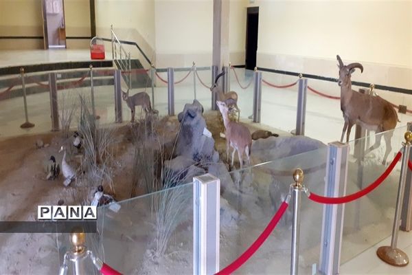 تالاب بین المللی شادگان پذیرای میهمانان نوروزی