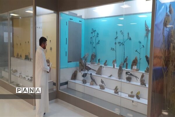 تالاب بین المللی شادگان پذیرای میهمانان نوروزی