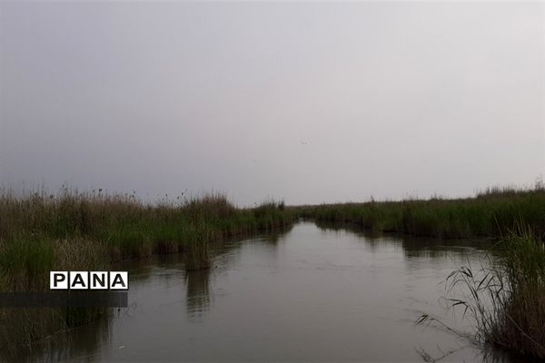 تالاب بین المللی شادگان پذیرای میهمانان نوروزی