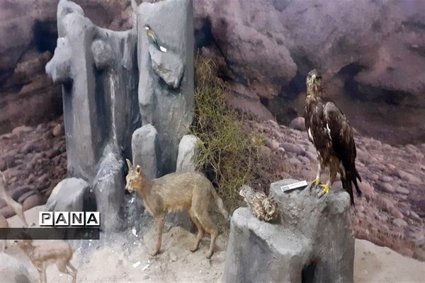 تالاب بین المللی شادگان پذیرای میهمانان نوروزی
