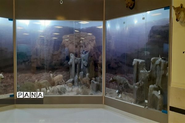 تالاب بین المللی شادگان پذیرای میهمانان نوروزی