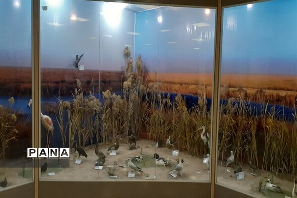 تالاب بین المللی شادگان پذیرای میهمانان نوروزی