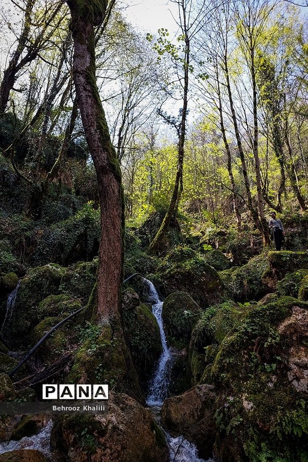 آبشار چلندر