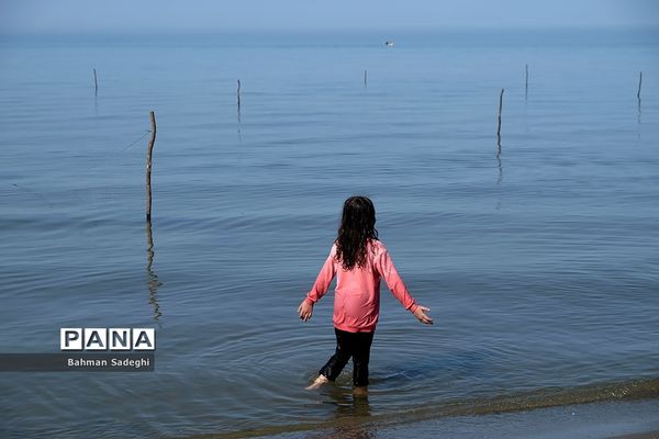 سواحل مازندران