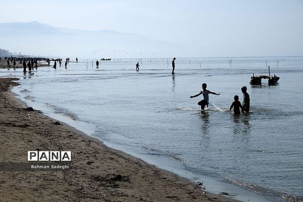 سواحل مازندران