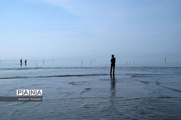 سواحل مازندران