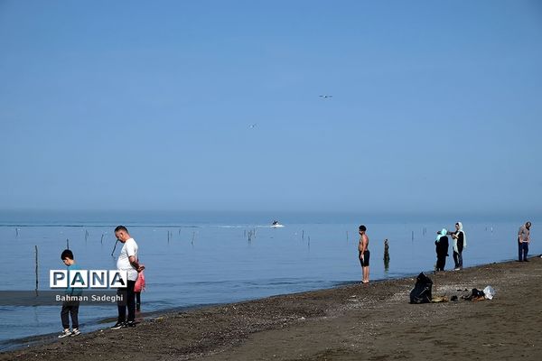 سواحل مازندران