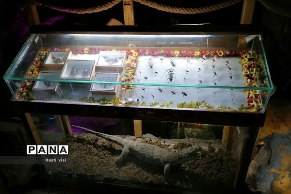 موزه تاریخ طبیعی دانشگاه بوعلی سینا در استان همدان