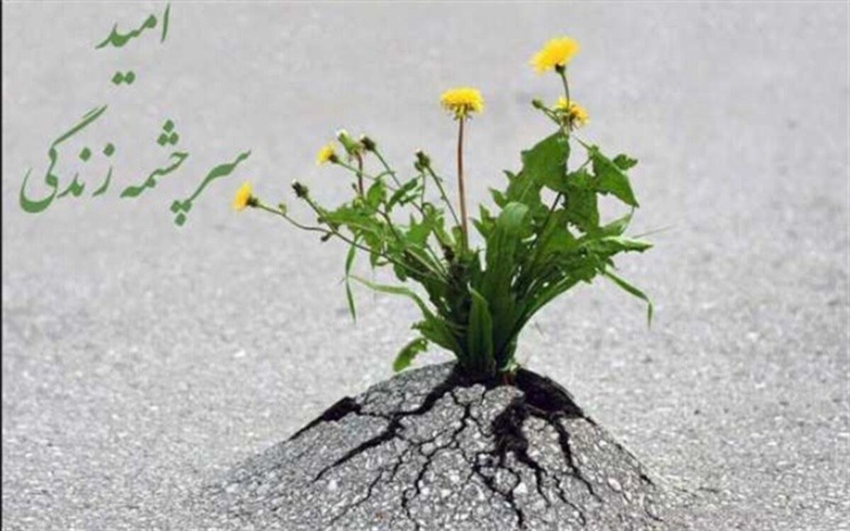 امیدهمراه با تلاش و توکل به خداوند در زندگی، پلی به سوی موفقیت است